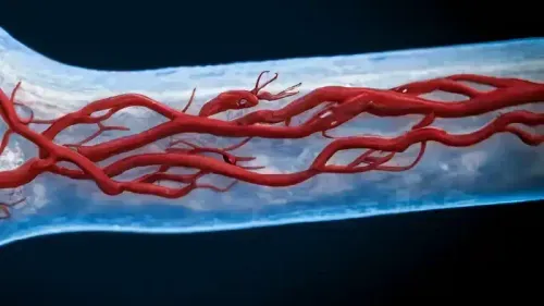 Vasa Vasorum: Tiny Vessels That Nourish Large Blood Vessels